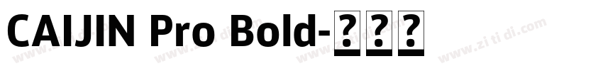 CAIJIN Pro Bold字体转换
